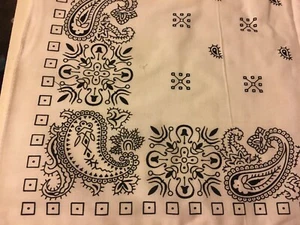 WHITE  PAISLEY BANDANA   22X22 Iin. AND 100% COTTON - Picture 1 of 3