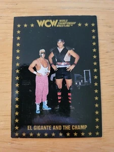 1991 Championship Marketing WCW #96 El Gigante and Sting/El Gigante & the Champ - Bild 1 von 8