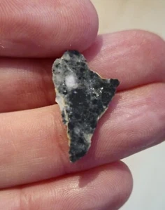 NWA 15583 Lunar Feldspathic Breccia 0.71g End Slice Meteorite - Picture 1 of 5