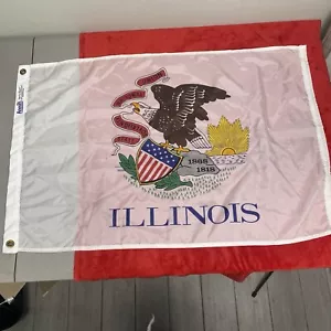 Vintage Annin Illinois American State Flag Nylon USA Eagle Chicago 23”x35”NYLGLO - Picture 1 of 10