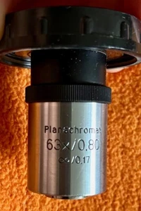 Carl Zeiss Jena Planachromat 63x 0,80 0,17 - ZEISS in Plexidose - Picture 1 of 5