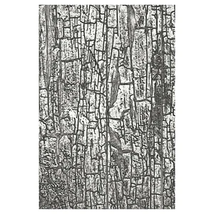 Plantilla de estampado 3D Sizzix "Cracked by Tim Holtz" - Imagen 1 de 4