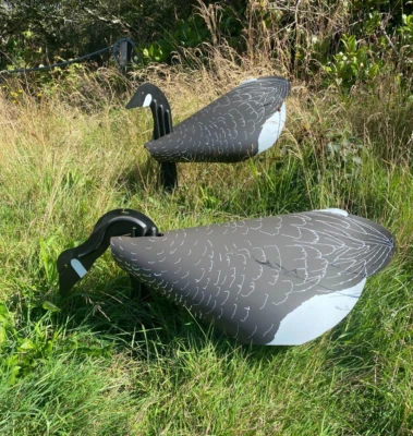 Lot of 15 Canada GOOSE DECOYS Farm Form THE WADDLER Hunting Vintage 3-D feeder - Image 1 of 4