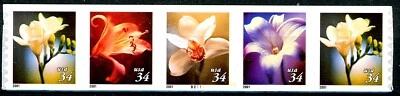 Four Flowers 34c Type PNC5 PL B2211 MNH Scott's 3478 3479 3480 & 3481          ~ - Image 1 of 2