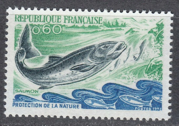 France 1972 MNH Mi 1794 Sc 1338 Atlantic salmon fishing in France.Fish.Fishes ** - Image 1 of 2