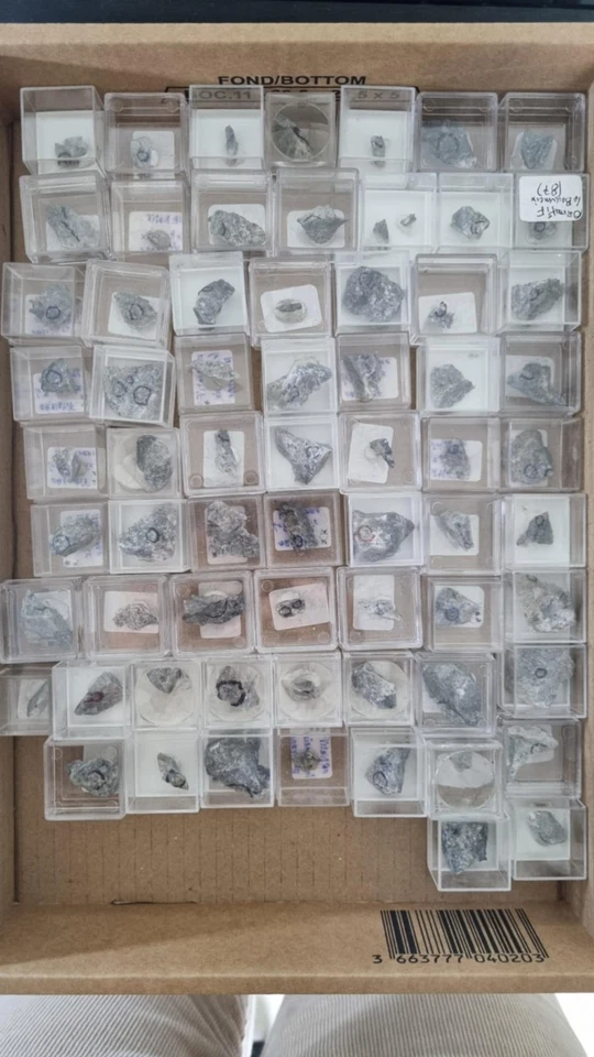 Lot Micromounts - Or, Le Bourneix, France - Rocks Store - Photo 1/1