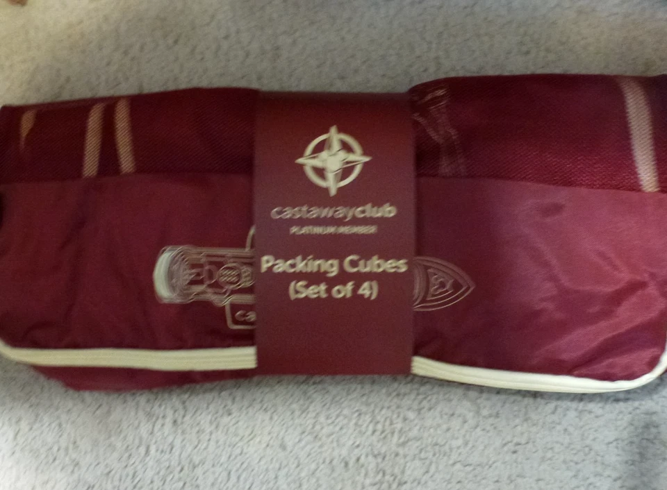 Disney Cruise Line Destiny Maiden Voyage Regalo Platino Set 4 Cubos de Embalaje Foto 1 de 1