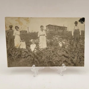 Cartolina antica fattoria di famiglia RPPC Missouri in campo foto reale - Foto 1 di 2