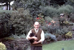 Vintage 35MM Slide Uncle Will holding his favorite Cat 70's - Imagen 1 de 2
