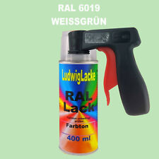Ral 6019 Biały zielony MATT Spray Can 400ml Kolorowy lakier i uchwyt TOP Best