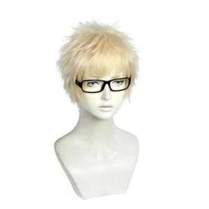 Heat Resistant Cosplay Wig Second Castle Tsukishima Hotaru Party Disguise_ - Picture 1 of 4