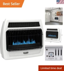 30,000 BTU Wall-Mounted Liquid Propane Heater - Noiseless Thermostat Control - Picture 1 of 12