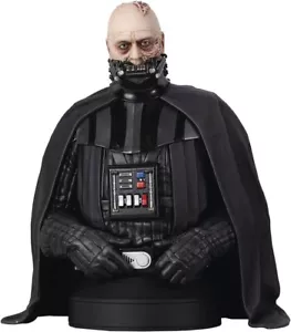 Star Wars Darth Vader (Unmasked) 1:6 Scale Collectible Mini-Bust #143 / 3,000 - Picture 1 of 10