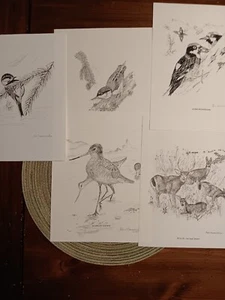 Lot of 5 Bob Vasconcellos Signed Art Animal Prints 8 x 10 on Paper Black/White - Picture 1 of 6