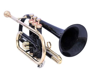 SAI MUSICAL CORNET, Bb BLACK WITH HARD CASE AND MOUTHPIECE BRASS HORN. - Picture 1 of 4