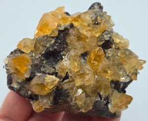 +++ CALCITE ON SPHALERITE ELMWOOD MINE, CARTHAGE, SMITH COUNTY, TENNESSEE +++ - Picture 1 of 8
