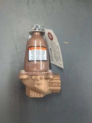 Bell and Gossett 110124 Relief Valve 3/4” Threaded - Image 1 of 4