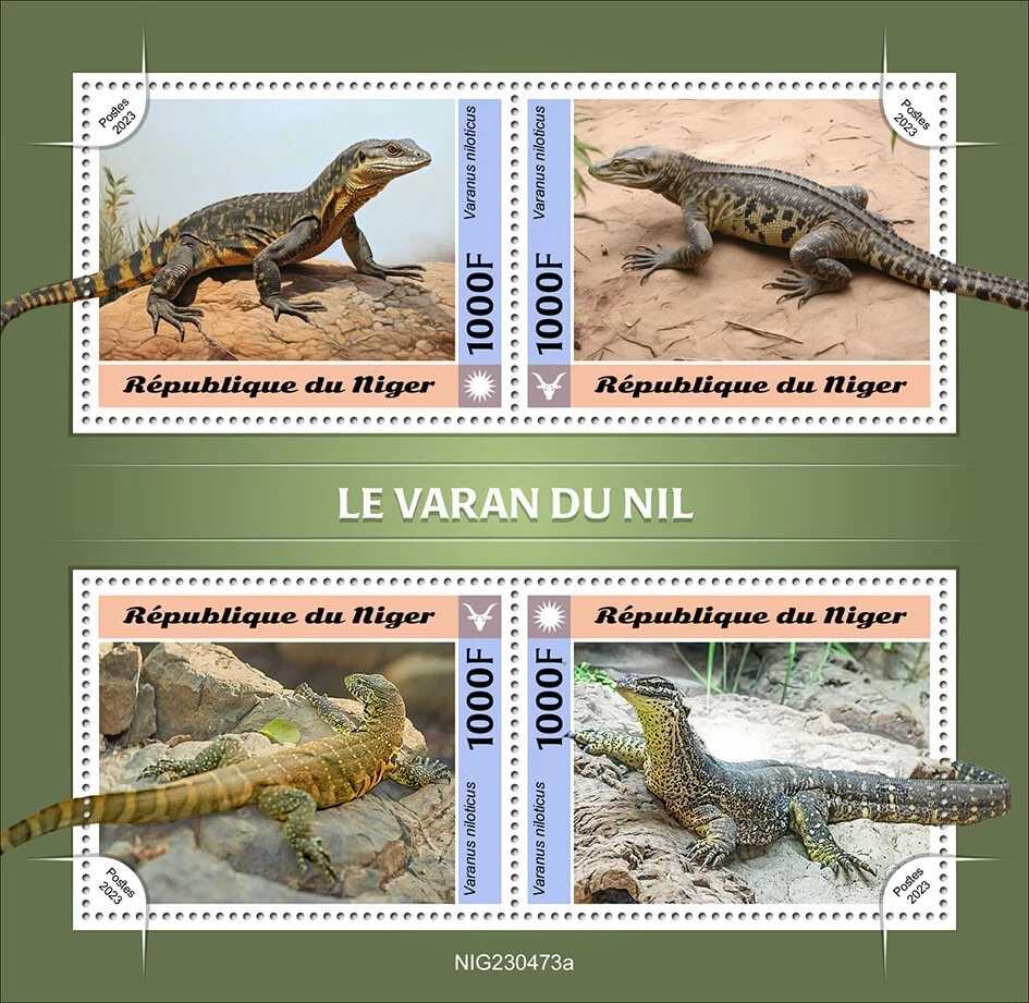 Estampillas de monitor del Nilo Varanidae Lizard MNH 2023 Níger M/S Foto 1 de 1
