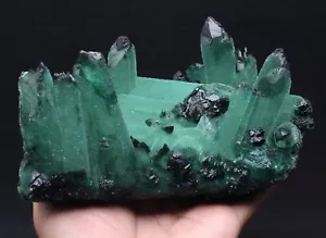 1600g RARE ! New Find Natural Beatiful Green Quartz Crystal Cluster Specimen - Picture 1 of 12