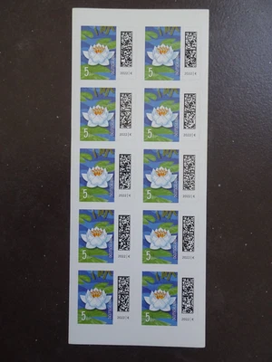 Frankaturware: 10 Briefmarken je 5 Cent, selbstklebend, Seerose - Bild 1 von 2