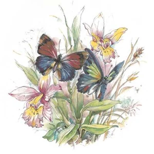 Butterflies Butterfly Iris Overglaze Ceramic Decals - Picture 1 of 1