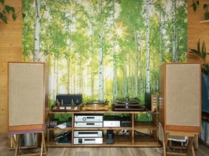 Altavoces Spendor BC3 - Imagen 1 de 2