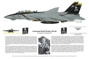 Estampado artístico F-14 firmado por piloto de la Guerra del Golfo, arte de aviación, Ernie Boyette - Imagen 1 de 5