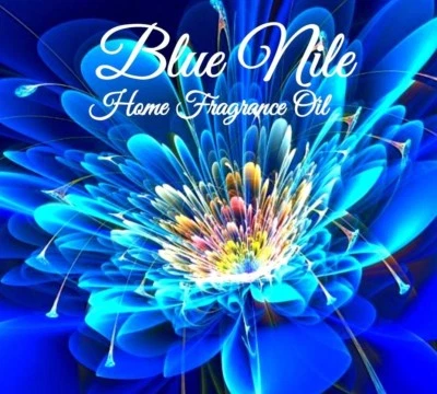 Aceite ardiente difusor de aromaterapia para fragancia Blue Nile Home Foto 1 de 4