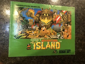 ADVENTURE ISLAND MANUAL DE INSTRUCCIONES ORIGINAL LIBRO DE JUEGOS NINTENDO NES HQ - Imagen 1 de 1