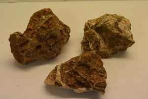 Roca de hoja de arce natural para acuario 3 piezas adecuada para todos los acuarios MLRB2C - Imagen 1 de 4