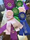 10 Vintage Horse Show Ribbons Awards Equestrian  90s Misc Shows