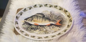 Portmeirion - Stoke In Trent - Oval Plate Perch No.6 Perca. England 10.5 X 7. - Picture 1 of 7