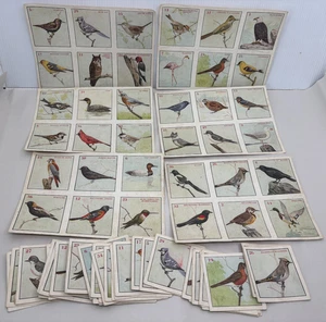 Unbranded Vintage Bird Art Memory Matching Game Missing 1 Card Estate Sale Find - Picture 1 of 18