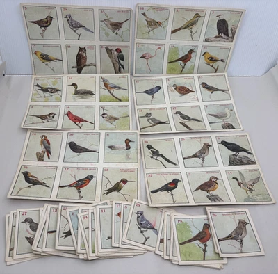 Unbranded Vintage Bird Art Memory Matching Game Missing 1 Card Estate Sale Find - Image 1 of 4