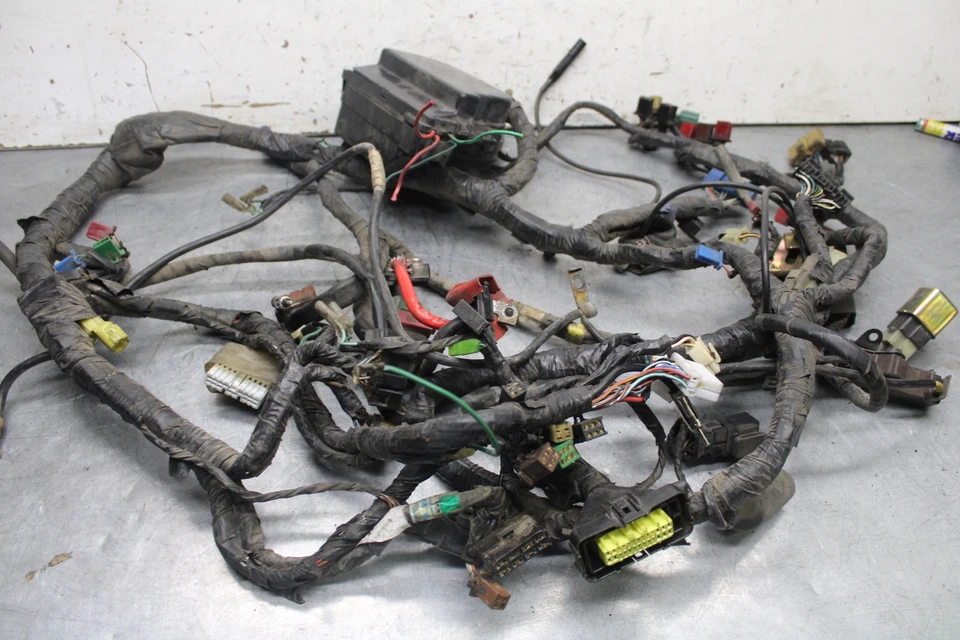 93-00 HONDA GOLDWING 1500 GL1500SE MOTOR PRINCIPAL CABLEADO ARNÉS TELAR BB700 Foto 1 de 4