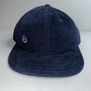 Patagonia Hat Cap Fitz Roy Icon Corduroy Adjustable Blue Hiking Trails Brand New - Picture 1 of 12