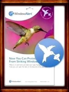 WINDOW ALERT ANTI-COLLISION CLINGS DECALS PREVENT WINDOW STRIKES HUMMINGBIRD - Picture 1 of 4