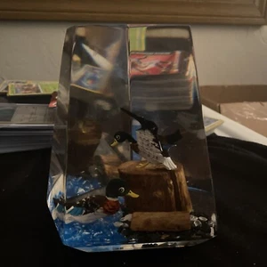 Cube With 2 Ducks And Log On The Inside 2lbs - Artwork - Designs - - Picture 1 of 6