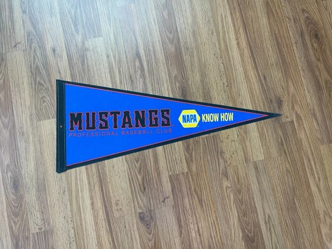 Billings Mustangs MiLB BASEBALL PIONEER LEAGUE Collectible Promo Felt Pennant! Cover