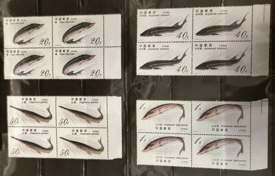 China Stamps 1994-3 Scott #2488-61 Sturgeons Fish BLK4 鲟鱼新票四方连 - Imagem 1 de 1