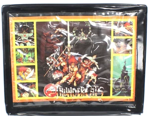 Thundercats Collector's Case 1985 LJN For Action Figures Outer Case - Picture 1 of 4