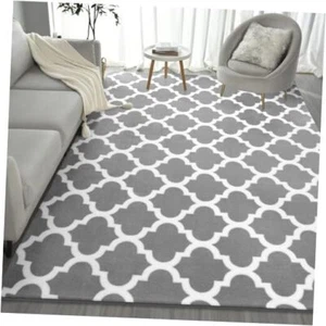 Morroccan Modern Area Rug for Living Room Bedroom, 3 x 5 ft Light Grey & White - Picture 1 of 7