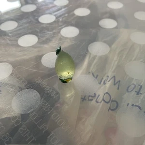 Shopkin Season 2 Crystal Glitz Green Sour Lemon - Rare - Bild 1 von 3