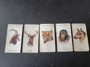 Lot of Five Vintage 1930s Player's Cigarettes Wild Animals' Heads Cards - Picture 1 of 8