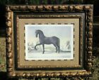 Eisenberg Picart Le Napolitain Horse Giclee Print Robert Grace Gallery Framed