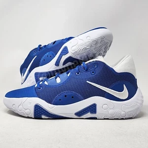 DS RARE PROMO Nike PG 6 Kentucky Wildcats PE Sz 11.5 Player Exclusive Shoes - Picture 1 of 7