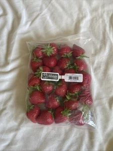 Vintage? Faux Strawberry Fruit 24 Piece Retro Mid Century Decor Allstate Floral - Picture 1 of 9