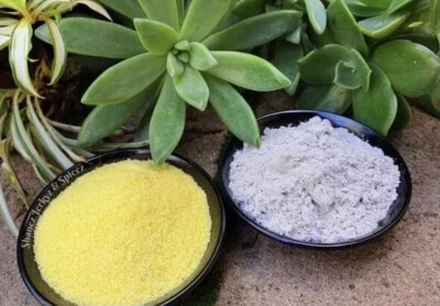 Farm Style Chicken Salt & Maggi Gravy Combo 100g ea. Shanez Fish and Chip Shop - image 1 of 4