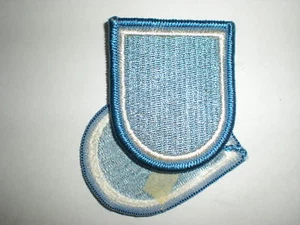 US ARMY 110TH MILITARY INTELLIGENCE BN BERET FLASH - Picture 1 of 1