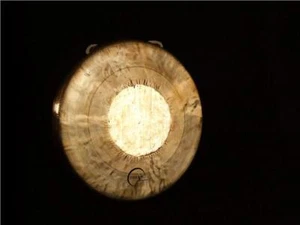 Dream Gong 13" Tiger - Bend Down - Picture 1 of 1